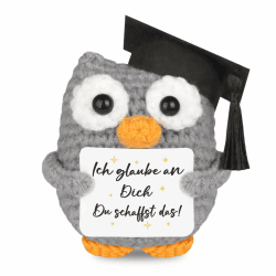 WenmthG Gestrickte Eule Positive Geschenke, Pocket Hug Eule Positive Kartoffel Ersatz, Mutmacher Geschenk, Gute Besserung Geschenk, Glücksbringer Prüfung Geschenk - Eule Puppe 1 St