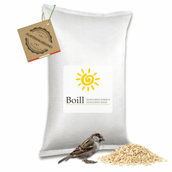 Boill/Sonnenblumenkerne geschält 25 kg - Vogelfutter direkt vom Hersteller, vogelfutter sonnenblumenkerne Neue Ernte 2024 ganzjahresfutter fettfutter ohne Staub im Sack