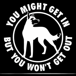 Autoaufkleber Belgische Malinois Aufkleber 18cm(7.1 Inch) Belgische Malinois Warnschild Aufkleber You Might Get In But You Won't Get Out Warning Sign Sticker Stoßstange Heckscheibe Lustig Dekor