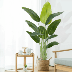 Keeplush Künstliche Paradiesvogel Pflanze groß 150cm künstliche Tropische Palme mit 10 Blättern perfekte künstliche Pflanzen im Topf für drinnen und draußen Haus Büro Garten Moderne Dekoration（1 Pack）