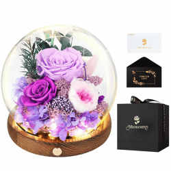 MAMAMIKO Ewige Rosen im Glas mit Led Licht, Infinity Rose, Konservierte Rosen Echt Blume, Geschenk für Frauen Mama Freundin, Valentinstag Jahrestag Geburtstag Muttertag, Lila Rose Geschenk für Sie