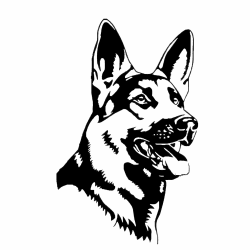 🚗 Autoaufkleber Schwarz Deutscher Schäferhund 18cm 🐶🖤