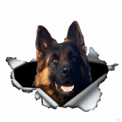 🐾 Autoaufkleber 15cm Deutscher Schäferhund Aufkleber 🚗🐶