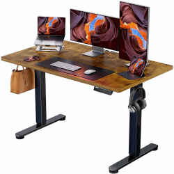 🌟 ErGear Elektrisch Höhenverstellbarer Schreibtisch 120 x 60 cm 🌟