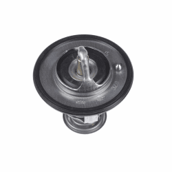 🔥 Spezialangebot! Blue Print ADC49205 Thermostat, 1 Stück