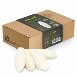 Premium Sepia Schalen - Natürliche Kalzium Quelle für Schildkröten, Vögel, Reptilien
