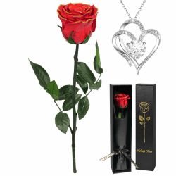 Yamonic Geschenke für Frauen Weihnachten 🎁 Infinity Rose mit Stiel & Herz Halskette 💖 Echte Rosen Geschenkset 🌹