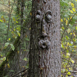 3D Harz Alter Mann Baum Gesicht Hofkunst Dekorationen 🌳😄