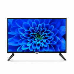 📺 Super Deal: MEDION E12421 (MD 20113) 59,9 cm (24 Zoll) Full HD Fernseher 🌟