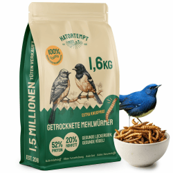 🐦🌿 Hatortempt 10L Premium Mehlwürmer getrocknet - Non-GMO, Natürliches Vogelfutter 🌿🐦