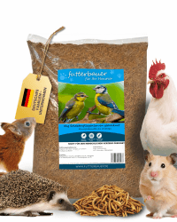 Angebot: 5kg Getrocknete Soldatenfliegenlarven - Premium Naturfutter für Tiere 🐦🦜🌿