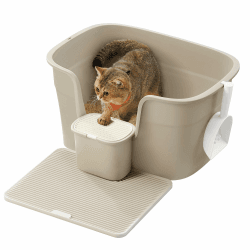 Feandrea Katzenklo | Extragroße Katzentoilette 🐱🚽