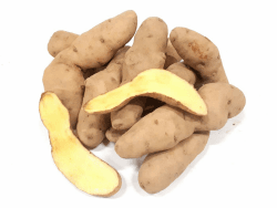 Sonderangebot: Allgäuer Hörnchen festkochende Kartoffeln aus Bayern - Ernte 2024 🥔🌾