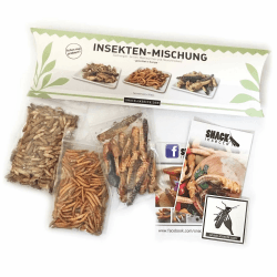 Essbare Insekten Mischung von 'SNACK insects' - 25g Insekten zum Essen 🦗🦗🦗