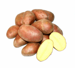 Angebot: Kartoffel Laura halbmehlig vorw. festkochend 🥔