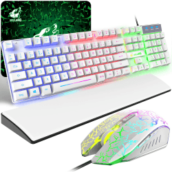 Gaming Tastatur und Maus Angebot 🎮🌈