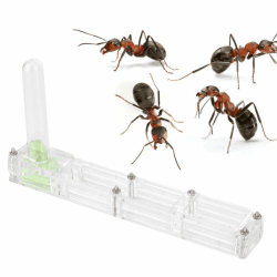 GOTOTOP Ameisenfarm aus Transparentem Acryl - Insektenparadies 🐜🏡