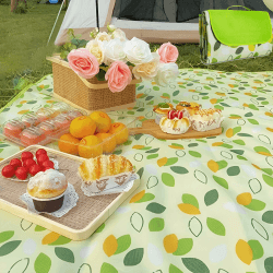 Picknickdecke 200 x 200 cm - Wasserdichte Faltbare Decke 🍃