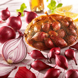🌶️🧅 Kiepenkerl Rote Steckzwiebeln - Zwiebelfleisch dunkelblutrot - leicht scharf 🌶️