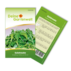 🌿 Salatrauke Einjährig Samen - Eruca sativa - Salatraukesamen - Gemüsesamen - Saatgut für 200 Pflanzen