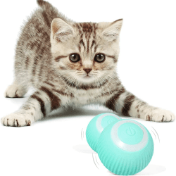 🐱🔵🟢 Interaktives Katzenspielzeug Ball - 50% Rabatt!