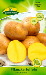 🥔 Quedlinburger 84016 Kartoffel Gala (10 Stück) Angebot! 🌱