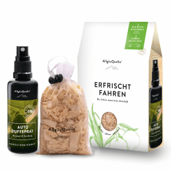 🚗🌺 Mini Autoduft-Set - Nur 9.95€!