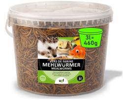 UGF - Premium Mehlwürmer getrocknet 3 Liter Eimer - 460g Vogelfutter 🐦