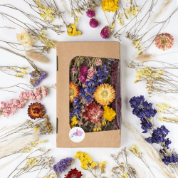 Premium Trockenblumen zum Basteln - Vielfältige Farben, Natürlich Duftend, in Stilvoller Öko-Papierbox - Made in Germany (Natur-Mix) 🌺🌼🌸
