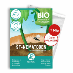 Plantura SF-Nematoden gegen Trauermücken - Hochwirksam & Biologisch 🌱