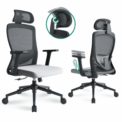 🪑 Eucladoceros Bürostuhl Ergonomisch mit Verstellbarer Lendenwirbelstütze
