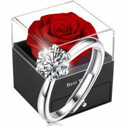 SWEETIME Rote Eternal Rose | Romantisches Geschenk für Frauen