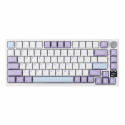 EPOMAKER Ajazz AK820 Pro Gasket Mechanische Tastatur 🌈🔋🎮