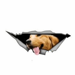 🐶 Autoaufkleber 25cm Golden Retriever Aufkleber - Lustig und Wasserdicht! 🚗