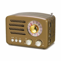 J-160 Klassisches Radio Retro Design UKW FM AM(MW) SW SD USB MP3 Bluetooth Transistor Radio mit Lautsprecher (Gold)