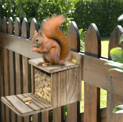 🌿🐿️ YIHAOBOX Eichhörnchen Futterhaus Geflammt - Stabiles Holzhaus mit Futterstation und Belüftung