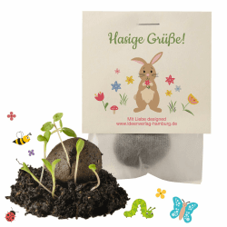 10x 'Hasige Grüße' Samenbomben als Mitgebsel Ostern 🐰🌱 Liebevoll handgefertigt und nachhaltig