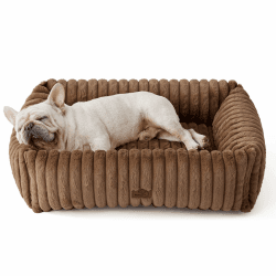 🐶💤 Luxuriöses Hundebett für erholsamen Schlaf | 39.94€ statt 46.99€ 🎉