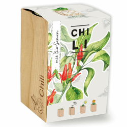 Feel Green ecoblock Chili - Nachhaltige Geschenkidee 🌿🌶️