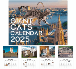 Mainiusi Riesenkatzen Kalender 2025 - Lustiger Familienkalender 🐱📅