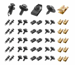 100 Stück Blechmutter Schraube Mutter Clip Kit 🚗🔩