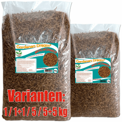 🌿 Gardeners Dream: Getrocknete Mehlwürmer in 5kg Abpackung! 🐦🐟🦔