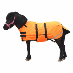 🐎 Gallopoff 300D Pony/Shetty Pferdedecke, 150g/m² Füllung 🌧️❄️