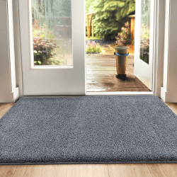 🌟 DEXI Schmutzfangmatte 50 x 80 cm - Sauber und Sicher 🌟