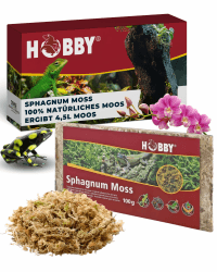 Angebot: Hobby Terraristik Sphagnum Moss I 100g 🌿🦎