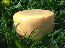 🧀🛒 Super Deal: Butterkäse aus Rohmilch ca. 700 gr. Neuhaushof 🛒🧀