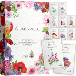 Blumen Samen Set - 10 bunte Blumensamen Sorten für Garten oder Balkon 🌸