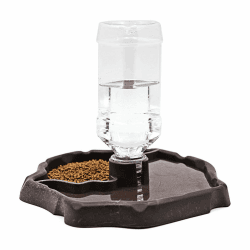 🐢🦎 Terrarium Wasserschale für Reptilien, Amphibien 2-in-1 - 11.19€