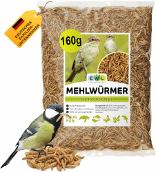 Getrocknete Mehlwürmer 160g - Insektensnack für Vögel, Fische und mehr! 🐦🦎🐠🐢🦔