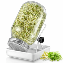 Ecooe Sprossen Keimglas 1er Set 🌱